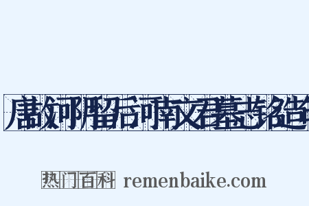 唐故河阴留后河南文君墓志铭造句是什么意思的图片
